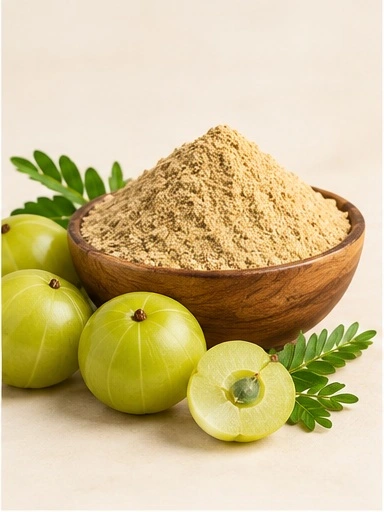 Amla Powder supplier India